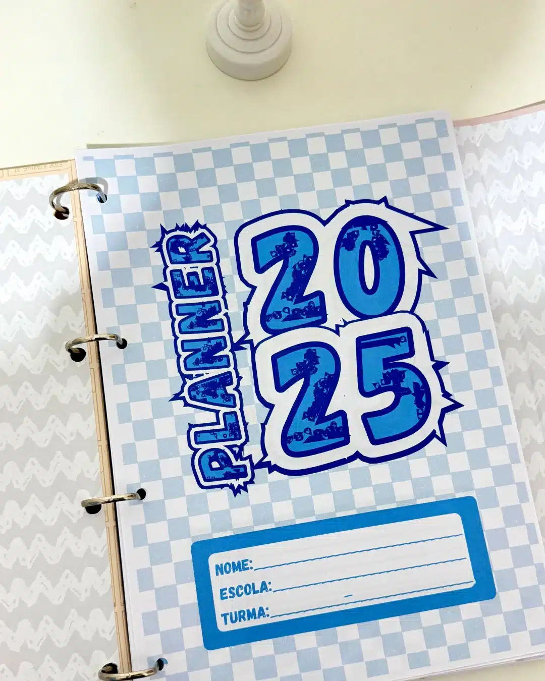 Planner Professor 2025